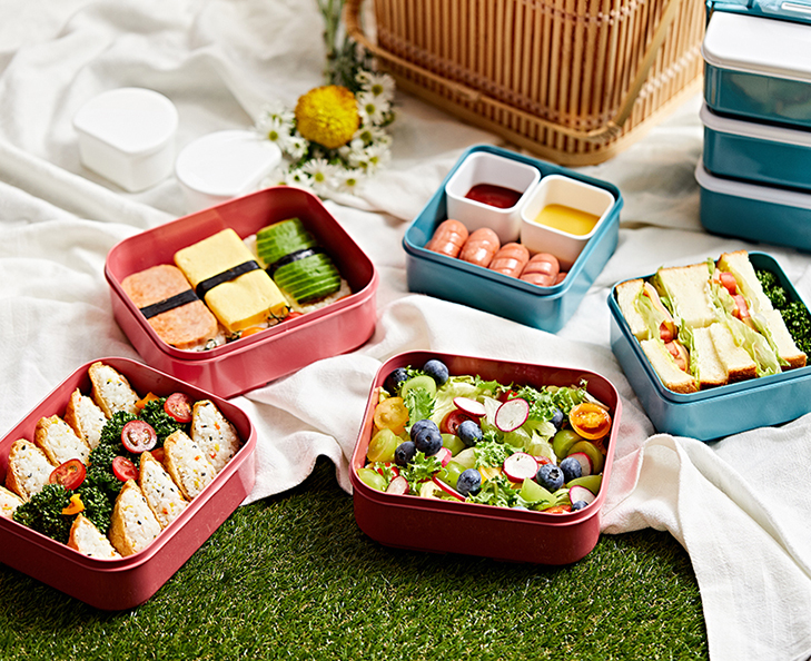Picnic Container Set - 4 Size image 1